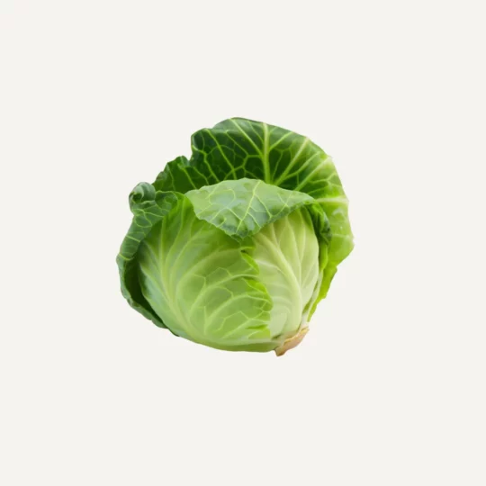 Green Cabbage