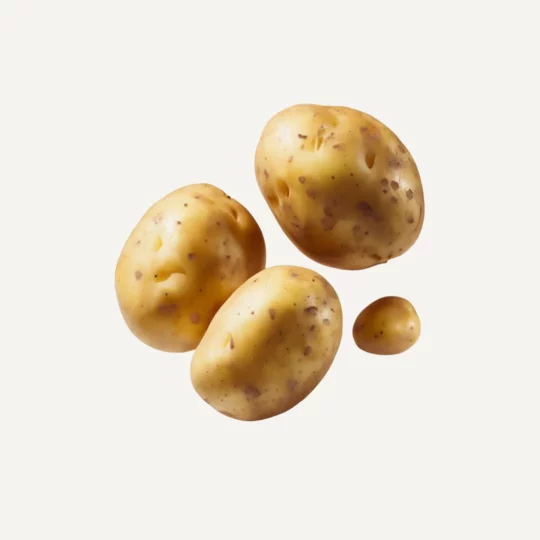 Potato